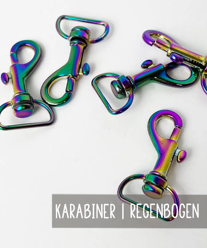 lenipepunkt-karabiner-20-mm-regenbogen-metall image 1