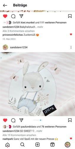 Süßer Hase