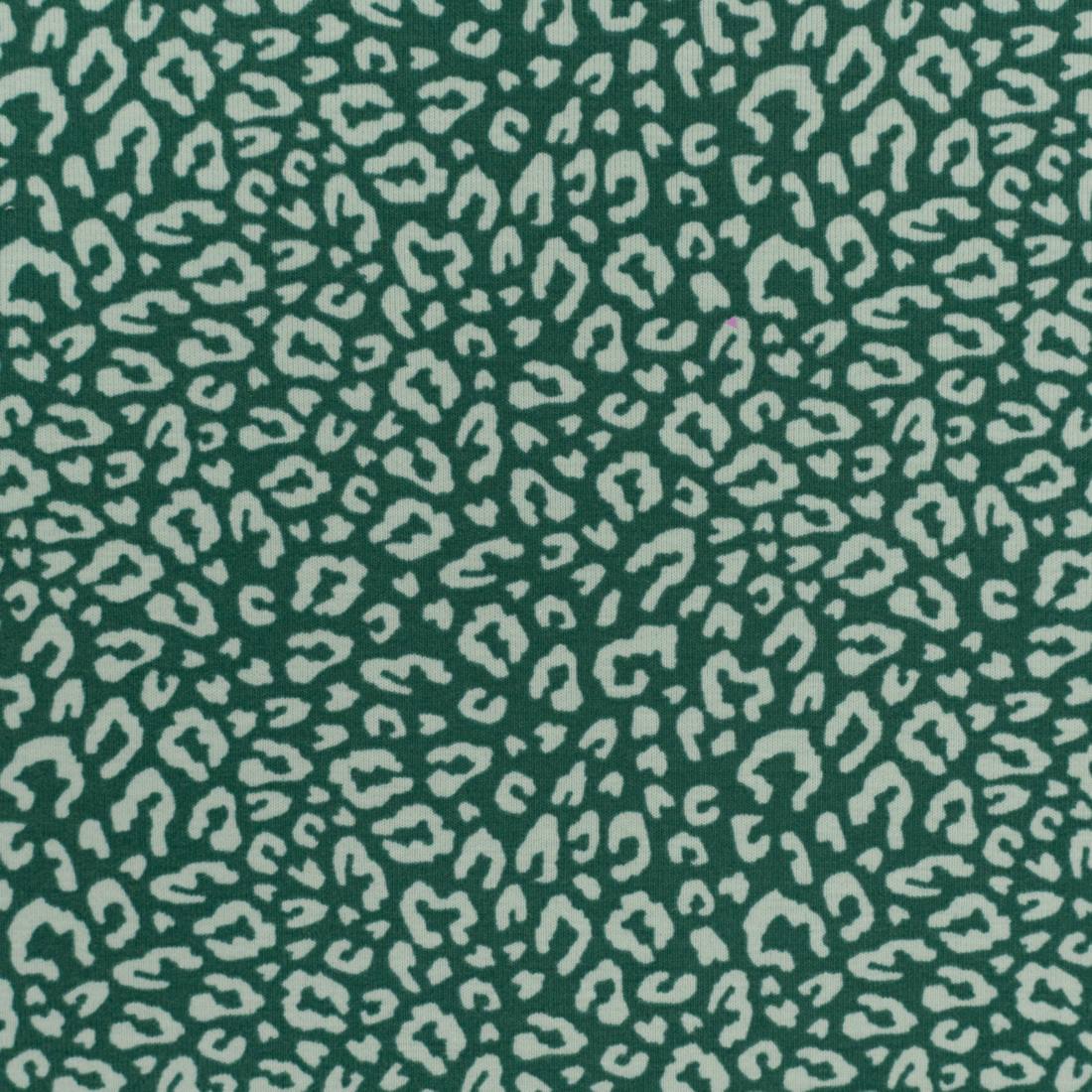 n-hfrosch-n-hpakete-n-hpaket-sihir-jersey-leo-mint-kleid image 7