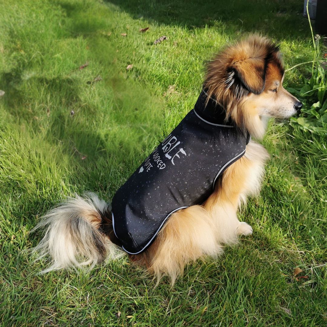 fadenk-fer-allwettermantel-papierschnittmuster-hunde-xs-6xl image 5