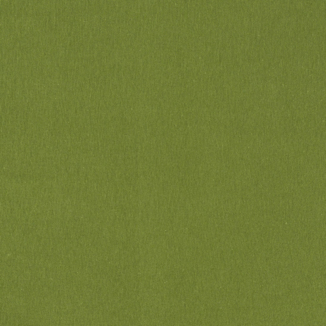 n-hfrosch-stoffe-bio-b-ndchenware-khaki-b-ndchenstoff-elastisch image 2