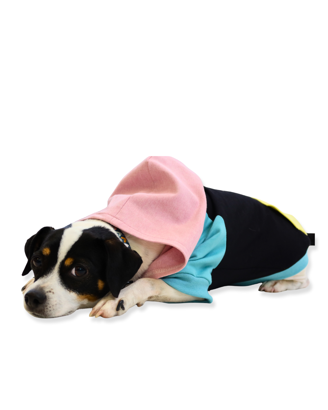 fadenk-fer-hunde-hoodie-papierschnittmuster-3xs-6xl-sweat image 6