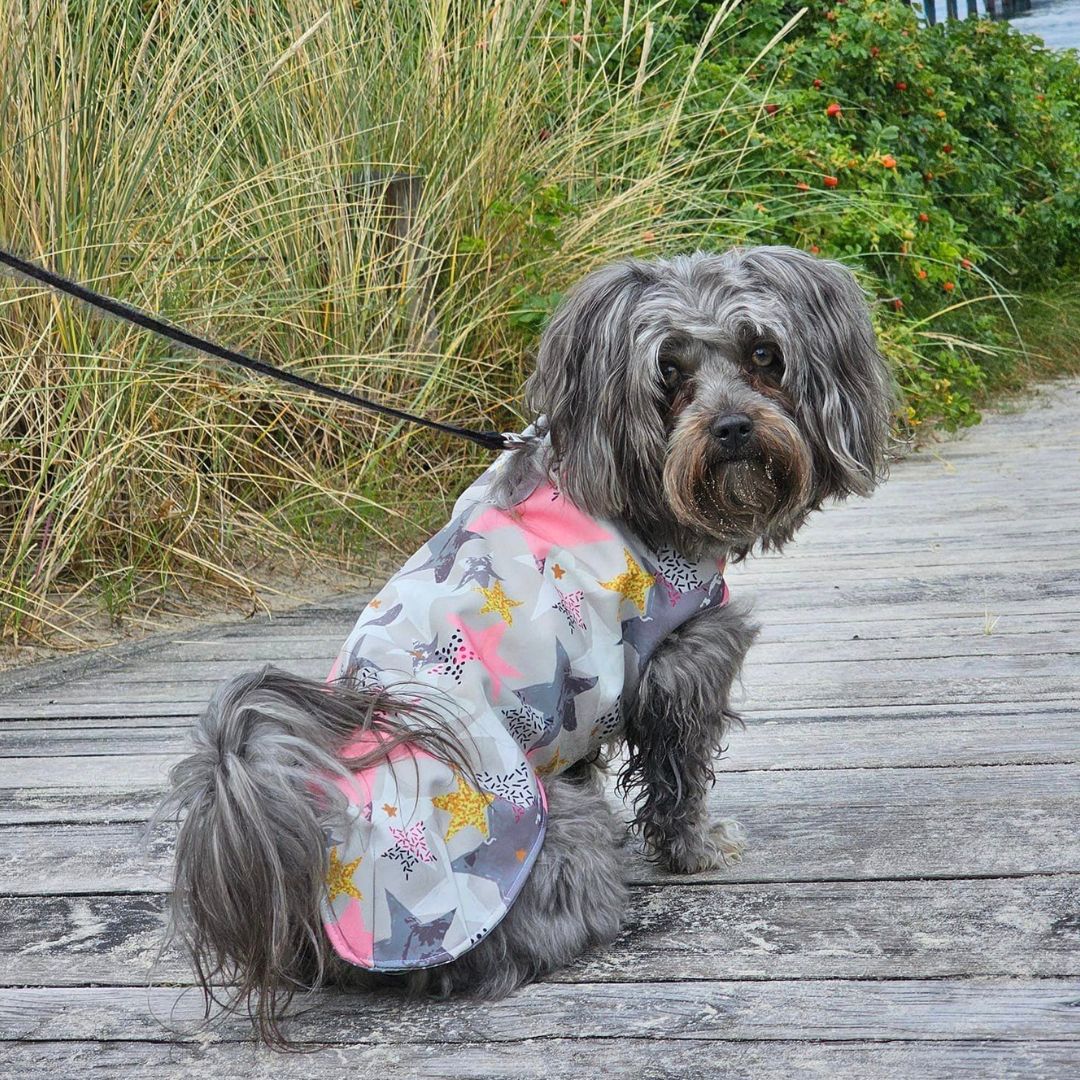 fadenk-fer-allwettermantel-papierschnittmuster-hunde-xs-6xl image 3