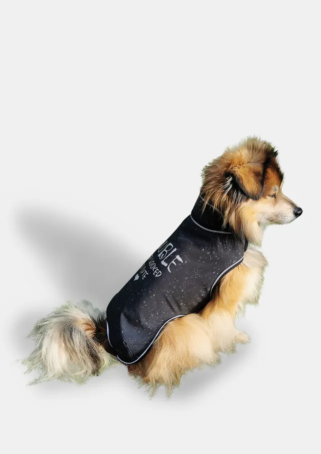 fadenk-fer-allwettermantel-hunde-schnittmuster-ebook-xs-6xl image 1