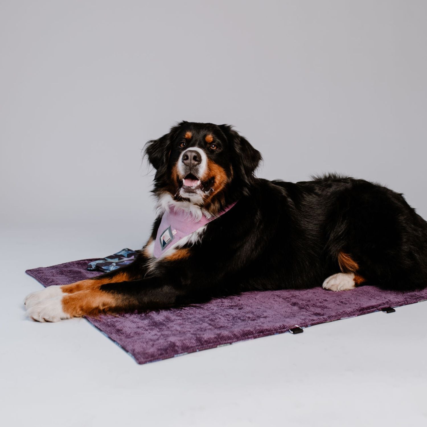 sew-simple-erwin-hundedecke-papierschnittmuster-faltbar image 3