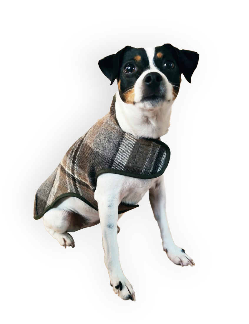 fadenk-fer-allwettermantel-hunde-schnittmuster-ebook-xs-6xl image 2