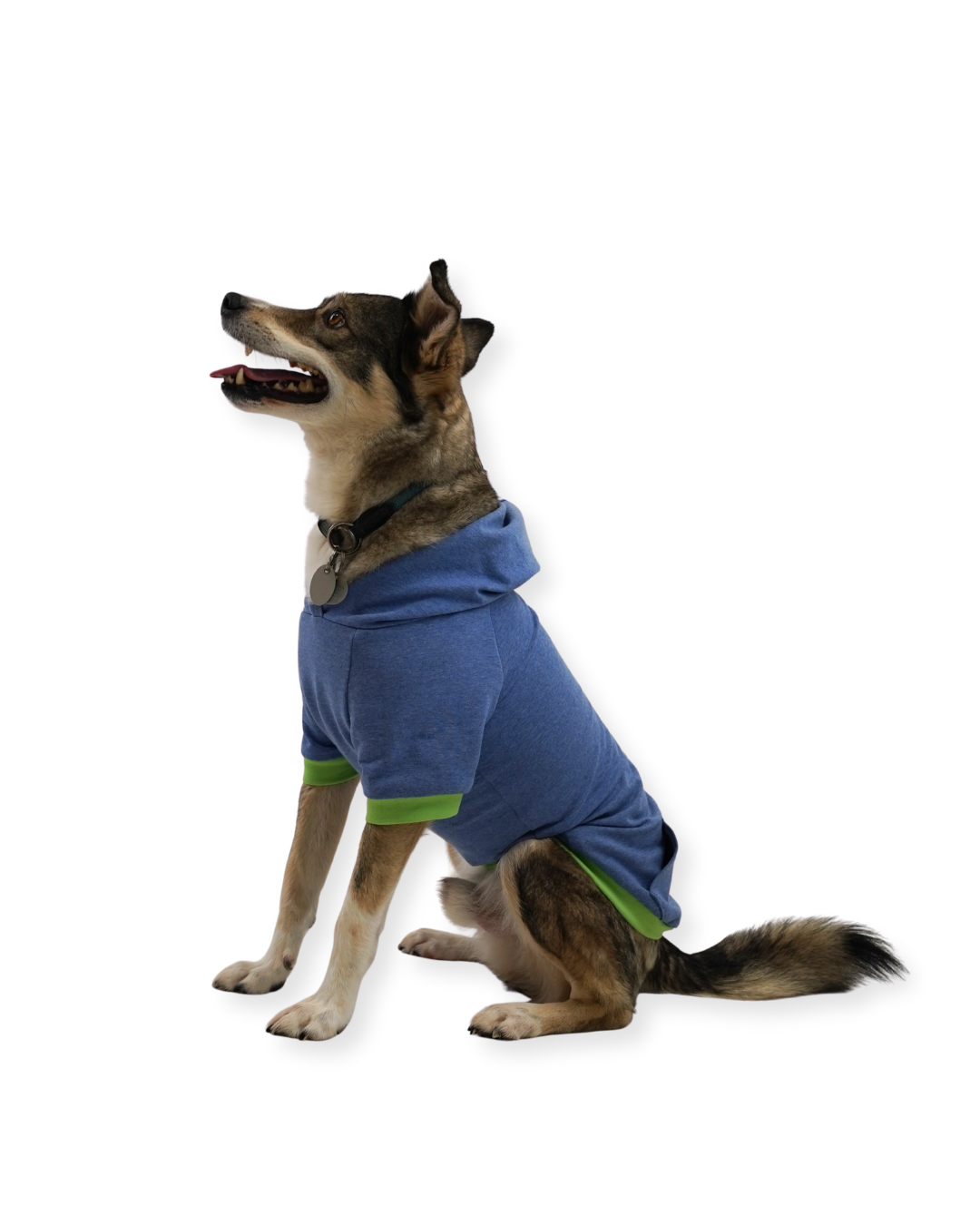fadenk-fer-hunde-hoodie-ebook-3xs-6xl-schnittmuster-f-r-hunde image 6