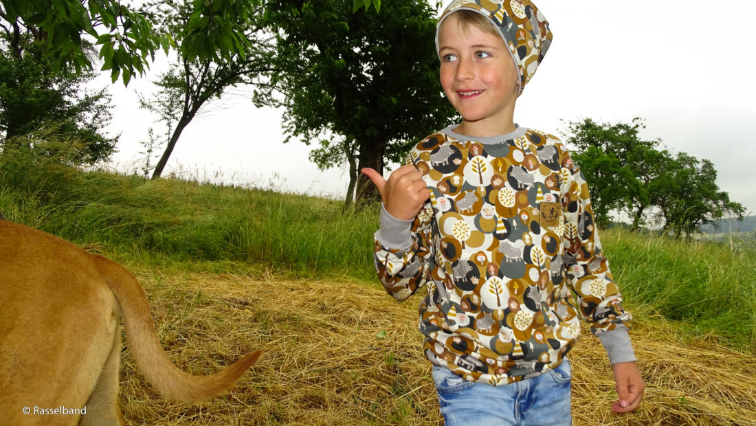 n-hfrosch-steinbeck-woody-sweat-stoff-wildschweine-ocker image 5