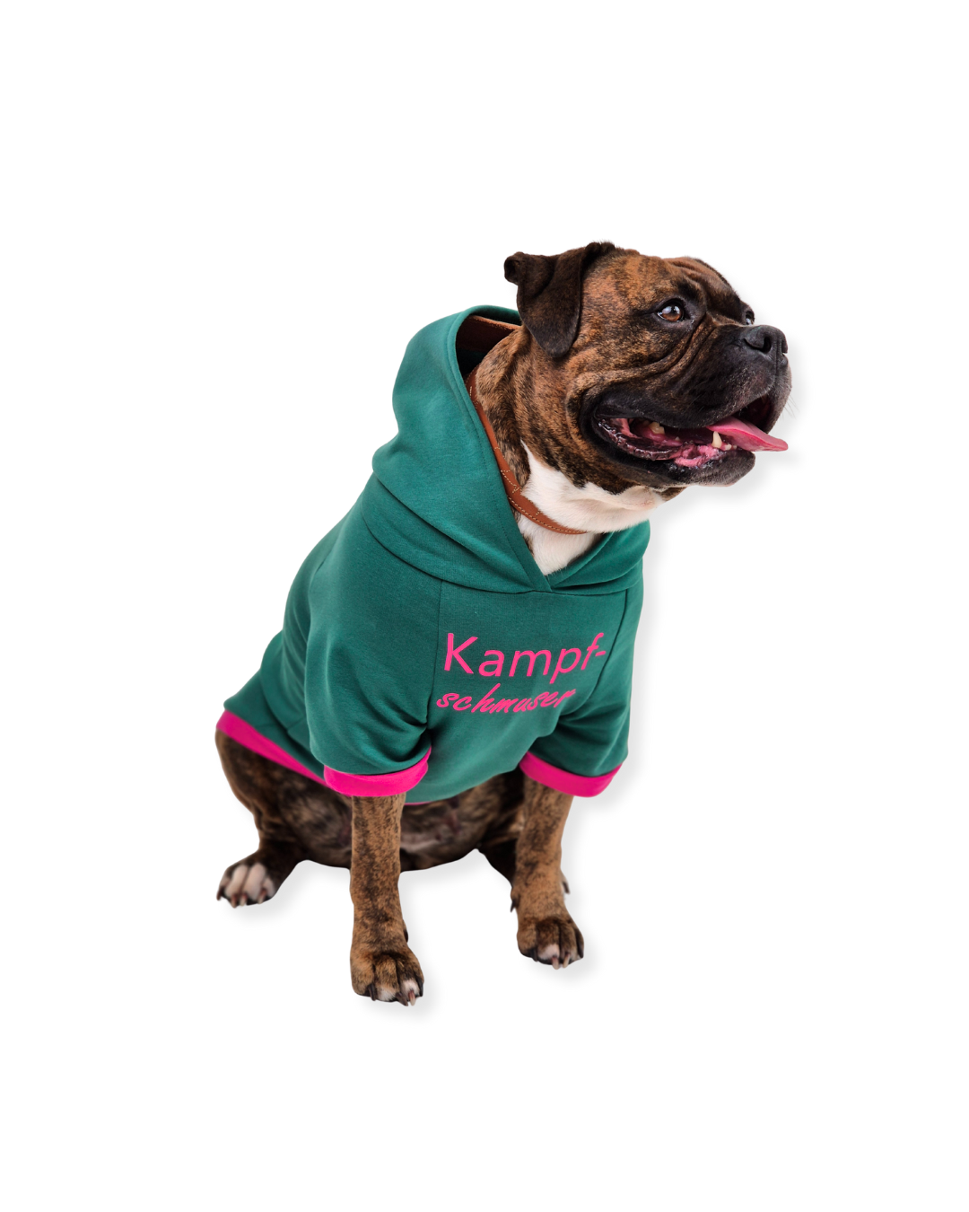 fadenk-fer-hunde-hoodie-ebook-3xs-6xl-schnittmuster-f-r-hunde image 5
