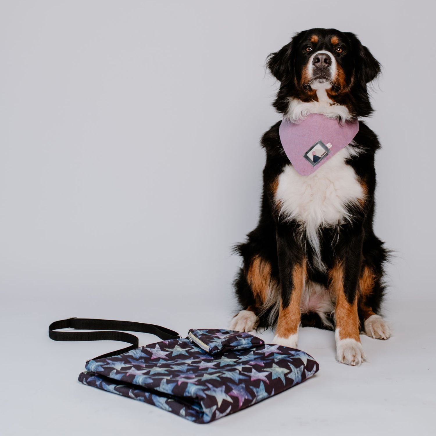 sew-simple-erwin-hundedecke-papierschnittmuster-faltbar image 5