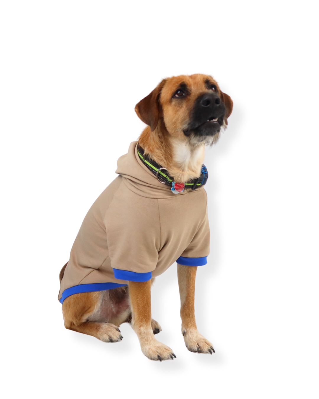 fadenk-fer-hunde-hoodie-ebook-3xs-6xl-schnittmuster-f-r-hunde image 7