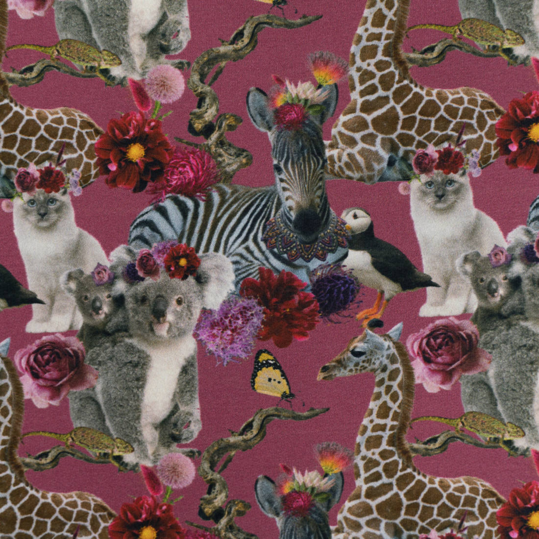 n-hfrosch-crazy-funny-animals-french-terry-sommersweat-tiere image 4