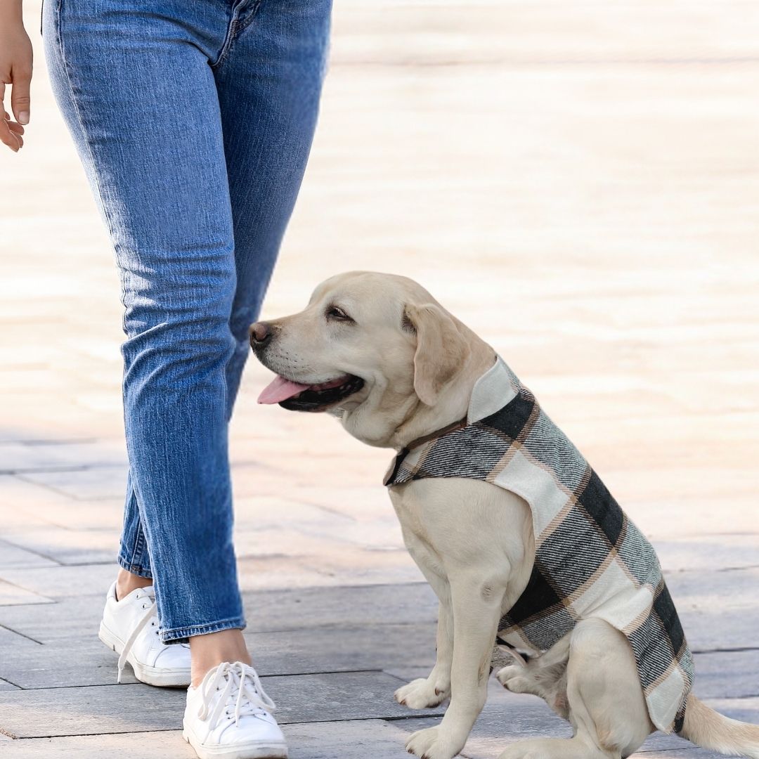 fadenk-fer-allwettermantel-papierschnittmuster-hunde-xs-6xl image 8