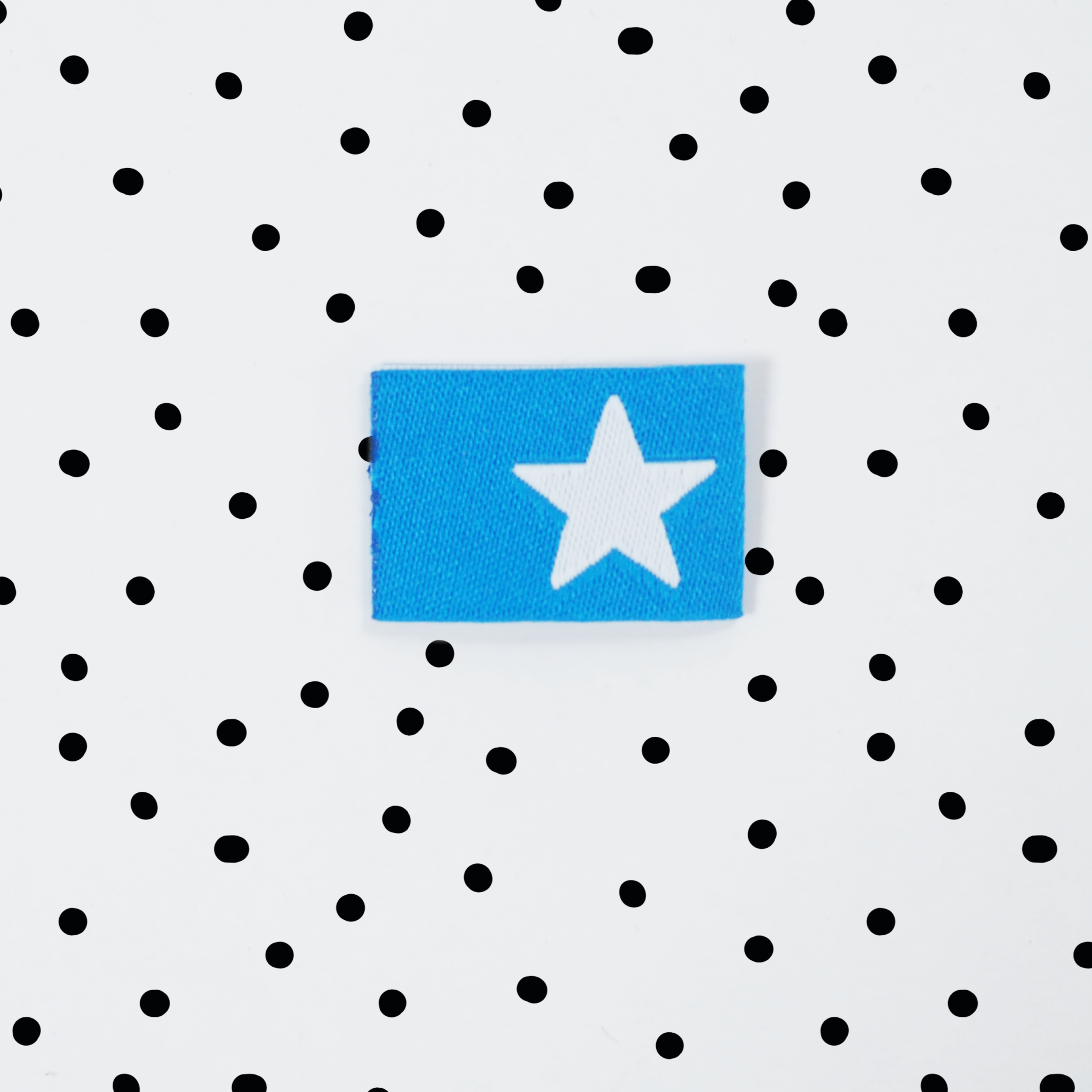 paul-clara-klapp-weblabel-stern-blau-kotex image 1