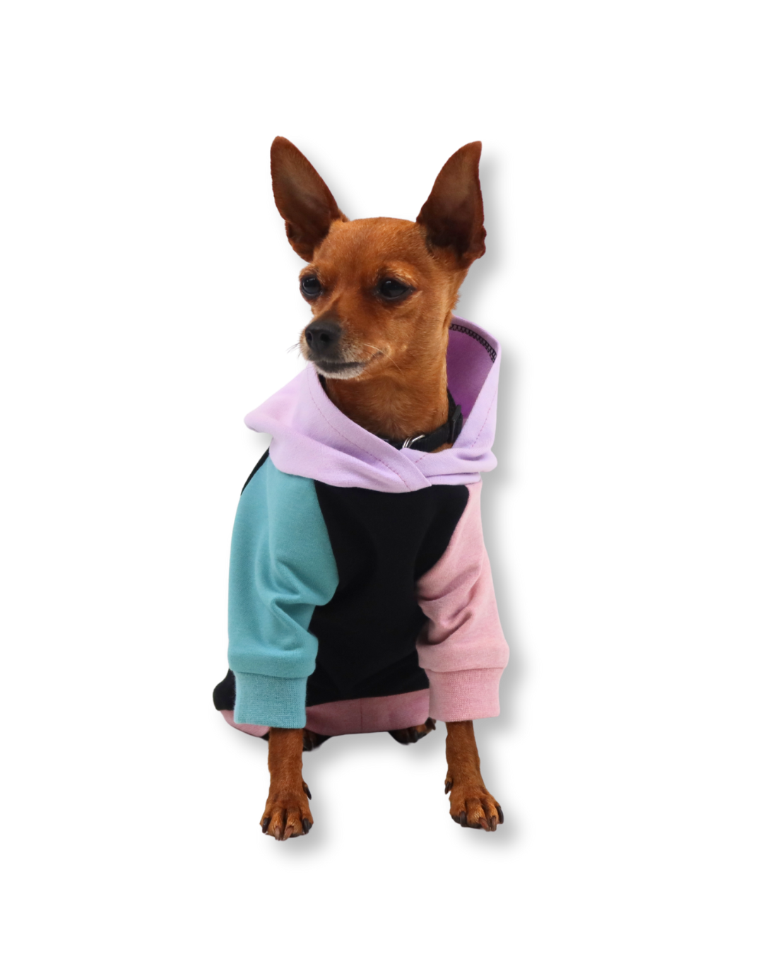 fadenk-fer-hunde-hoodie-papierschnittmuster-3xs-6xl-sweat image 8