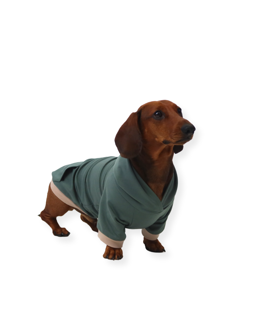 fadenk-fer-hunde-hoodie-papierschnittmuster-3xs-6xl-sweat image 7