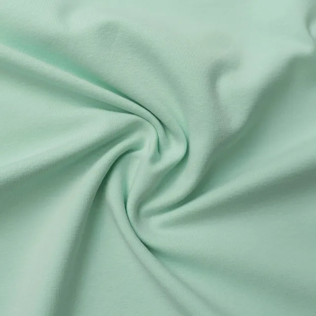 n-hfrosch-baumwolljersey-uni-mint-220-g-m image 1
