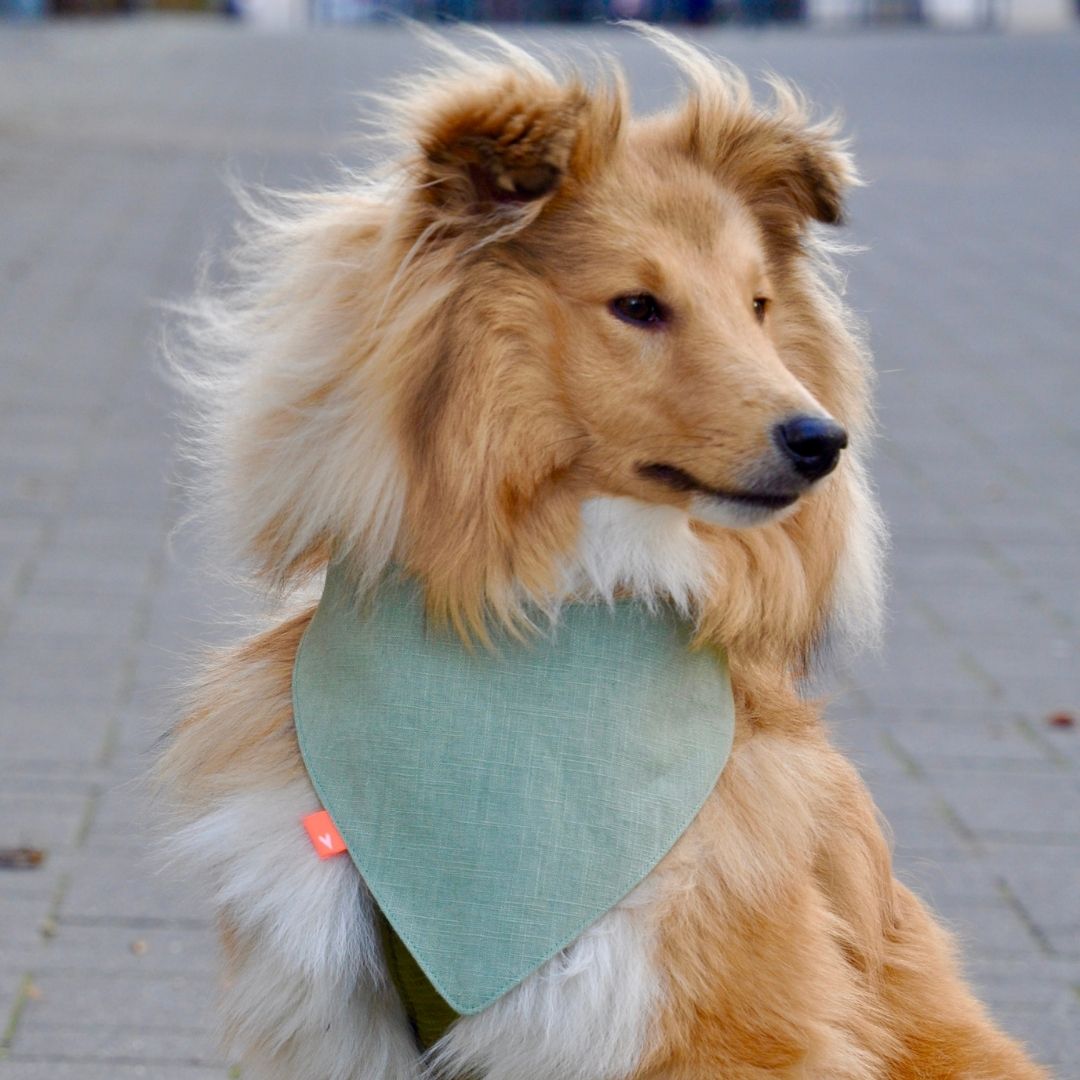 sew-simple-haustiere-hundehalstuch-mindy-pdf-schnittmuster-wende image 6