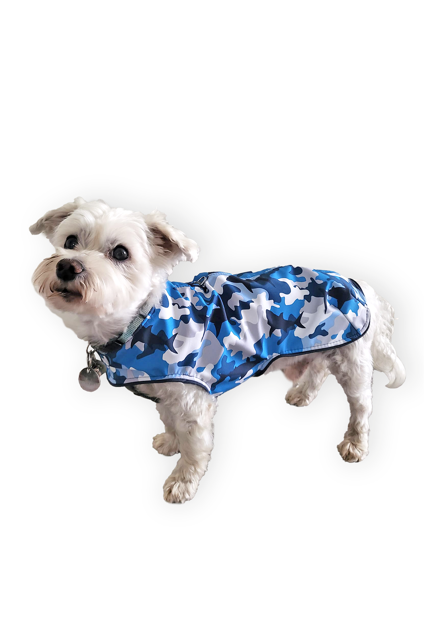 fadenk-fer-allwettermantel-hunde-schnittmuster-ebook-xs-6xl image 8