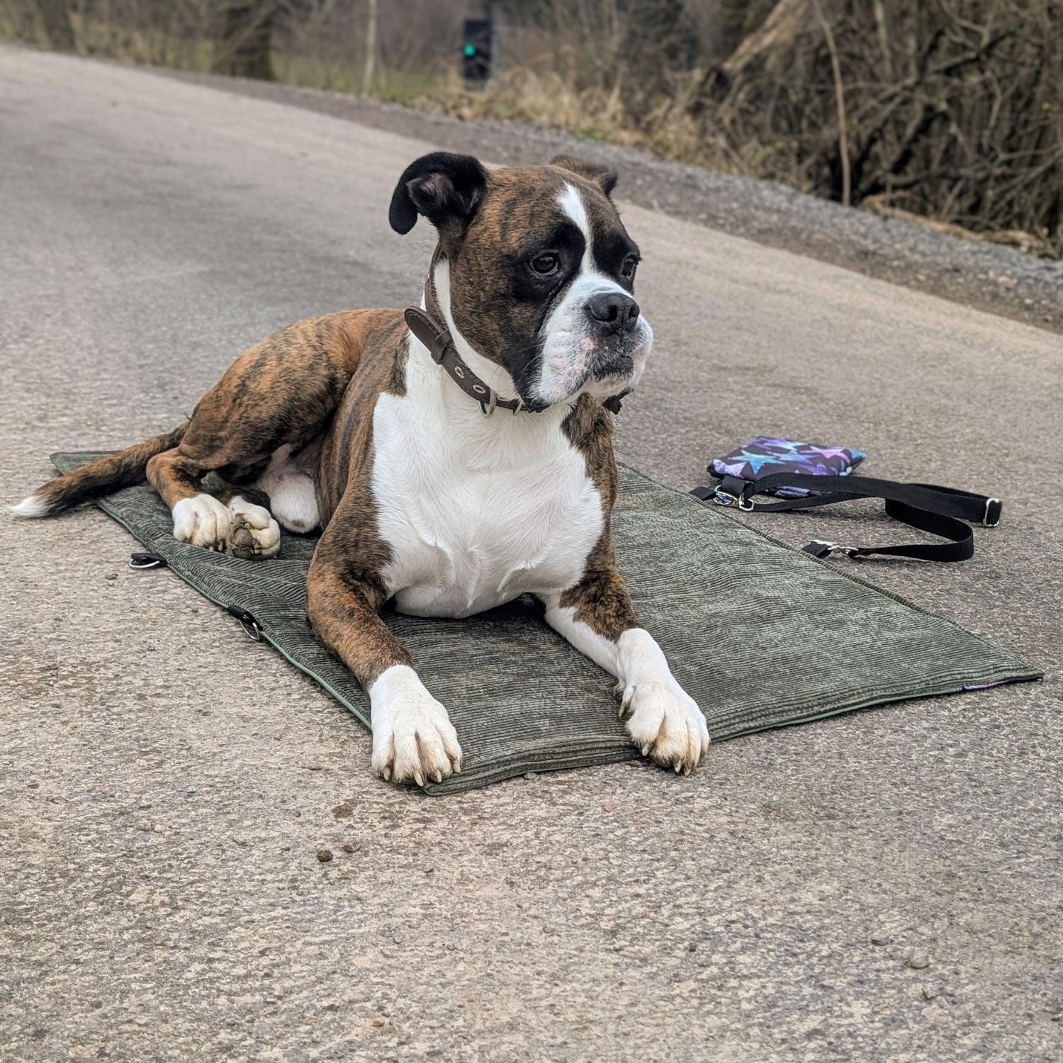 sew-simple-erwin-hundedecke-papierschnittmuster-faltbar image 6
