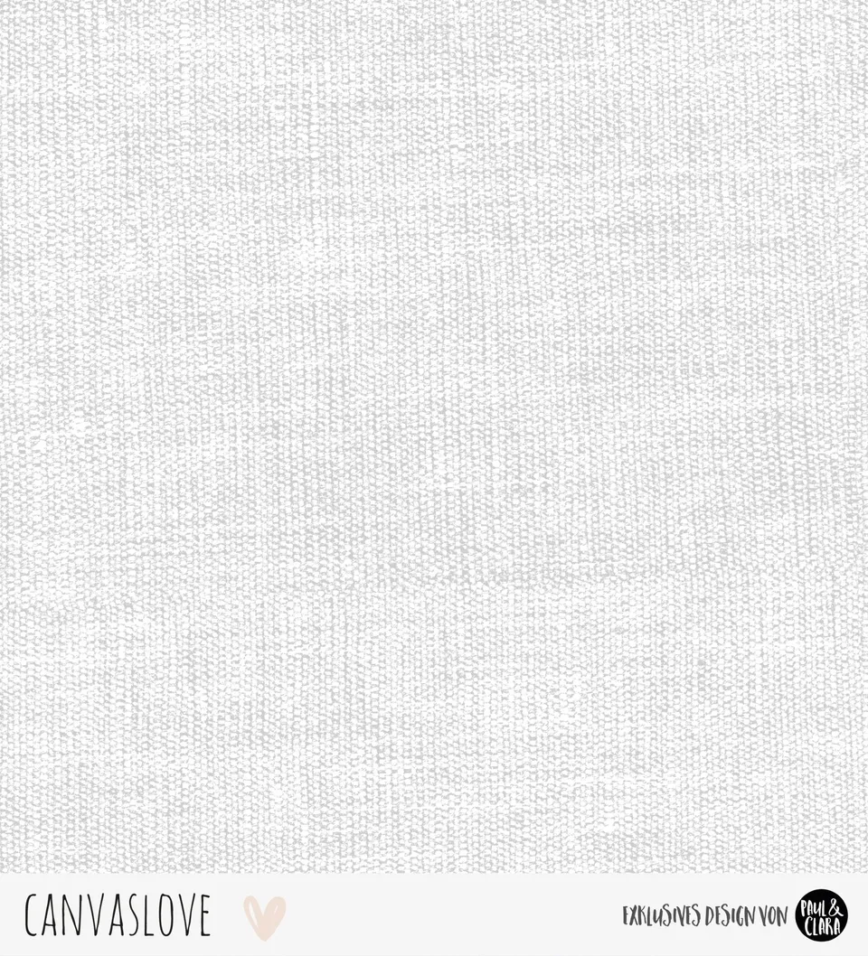 paul-clara-canvaslove-bio-jersey-stoff-grau image 1