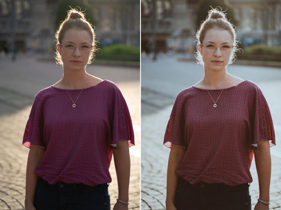 n-hfrosch-portrait-presets-desktop-mobile-filter-8er-set image 4