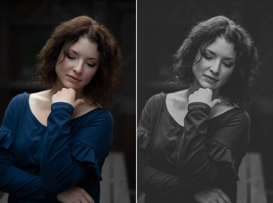 n-hfrosch-portrait-presets-desktop-mobile-filter-8er-set image 5