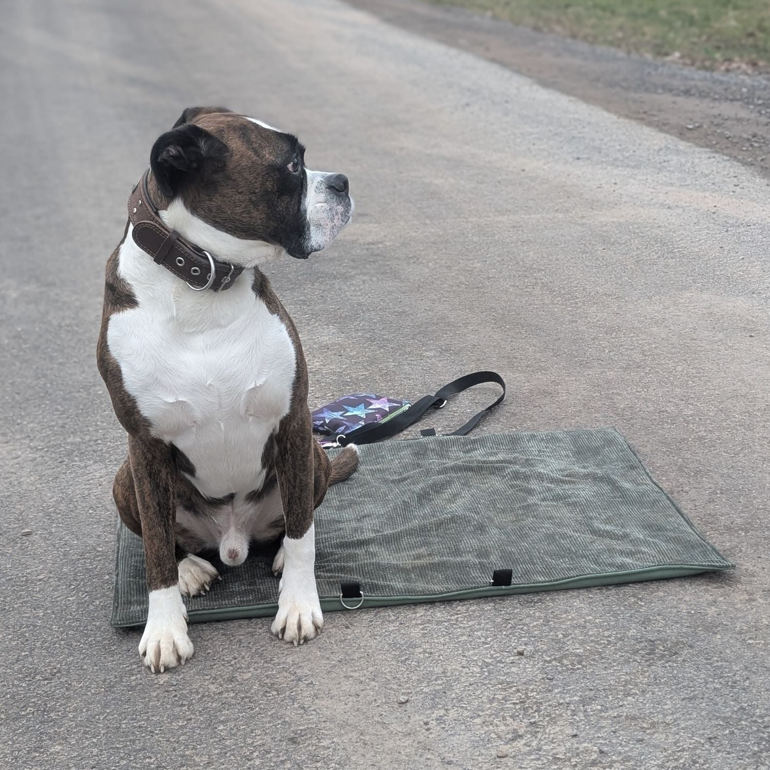 sew-simple-erwin-hundedecke-papierschnittmuster-faltbar image 8