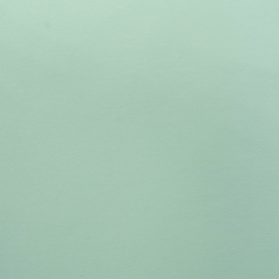 n-hfrosch-baumwolljersey-uni-mint-220-g-m image 2