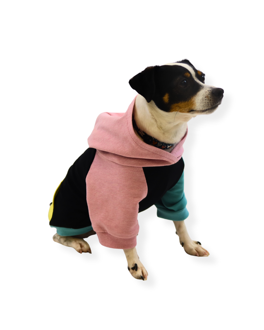 fadenk-fer-hunde-hoodie-papierschnittmuster-3xs-6xl-sweat image 5