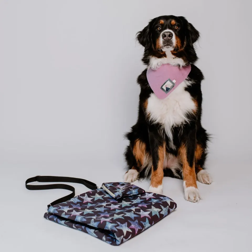 sew-simple-erwin-hundedecke-papierschnittmuster-faltbar image 1