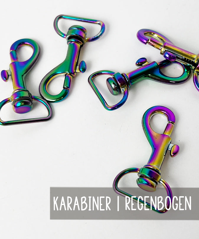 lenipepunkt-karabiner-20-mm-regenbogen-metall image 1