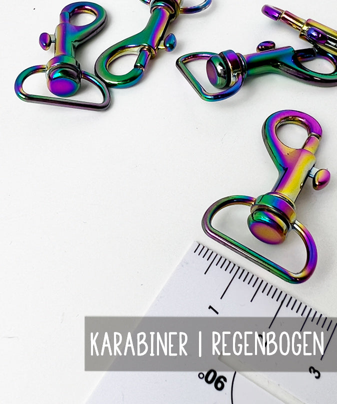 lenipepunkt-karabiner-20-mm-regenbogen-metall image 2
